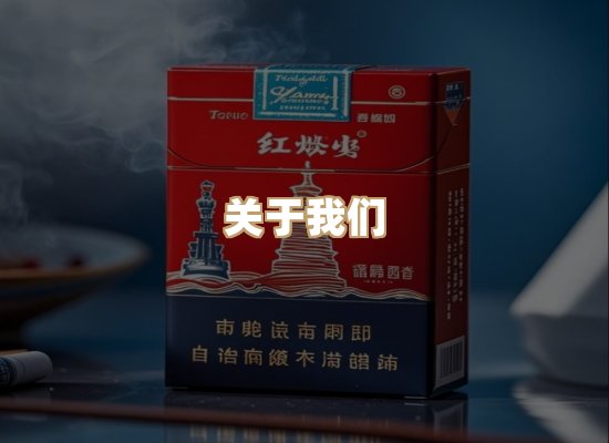 关于御龙烟网